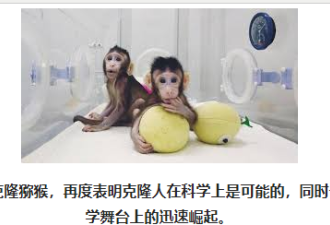 克隆猴背后的中国科研实力迅速崛起