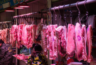 猪肉涨价背后 个别县区以环保旗号打造&quot;无猪县&quot;