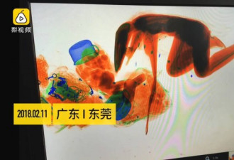 为护送包内的财物 女子竟然这样过安检！