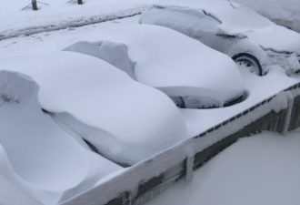 卡尔加里大雪破历史纪录，加拿大居民网上晒图