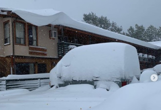 卡尔加里大雪破历史纪录，加拿大居民网上晒图