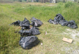 居民发现17个黑色塑料袋 里面装满了尸块