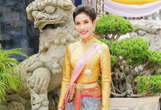 为了看新王妃的美照 泰国人民把网站挤瘫痪了