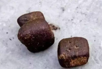 袋熊便便是方的？今年的搞笑诺奖有啥惊人发现