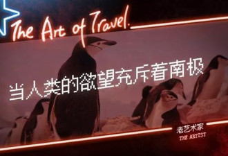 被中国游客挤爆的南极 太南了…