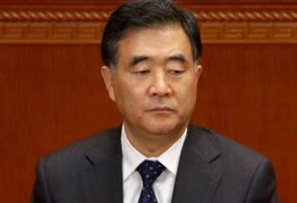 新一届中国副总理与国务委员名单