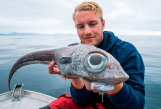 挪威海钓者捕获“狮头龙身”怪兽鱼惊呆