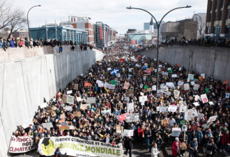 加拿大爆发大规模游行示威，为环保罢工罢课
