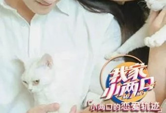 芒果台又出一作女！刚结婚就立遗嘱