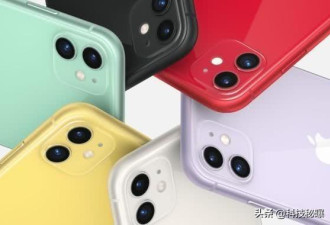 真香国内绿iPhone11抢断货网友当初谁说不买的