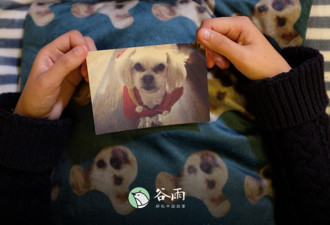 上海女人花38万克隆宠物狗：没有它我会抑郁的