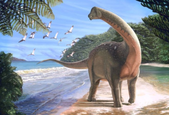 全新品种！“圣杯恐龙”化石终现非洲