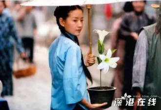 董洁否认介入王大治婚姻 董洁潘粤明离婚真相