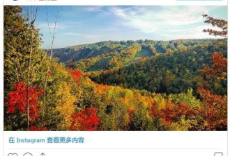 超刺激！安省这个"过山车"带你穿过绝美枫叶林