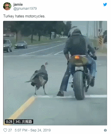 安省摩托车小哥和火鸡上演了&quot;街头互踢&quot;！