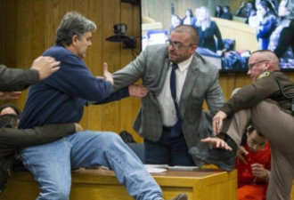 三个女儿遭性侵 父亲在法庭要攻击狼医