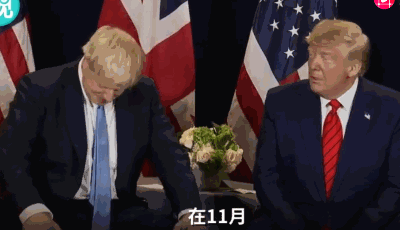 纽约时报:"即使失去所有，至少他们还拥有彼此"