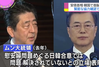 安倍时隔2年再访韩 韩官员:若别有用心就不要来