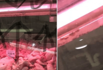 澳洲最恶心超市 肉类冰柜旁布满霉菌遭顾客吐槽