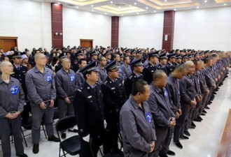 宁夏扫黑扫出“哈氏集团”！52人遭判刑