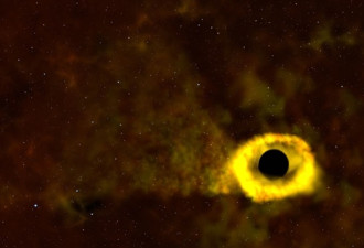 3.77亿光年外宇宙: 人类亲眼目睹黑洞撕裂恒星
