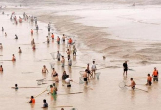 中国今年起实行黄河禁渔期制度