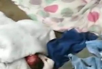 东莞女子垃圾站产子，抢救婴儿却遭动手阻拦