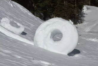 加拿大的雪这是要成精么！竟然会自动滚雪球？
