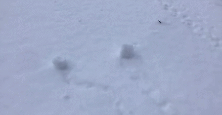 加拿大的雪这是要成精么！竟然会自动滚雪球？