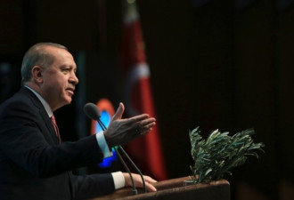 安理会通过叙利亚停火决议 土耳其：继续攻击