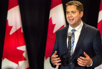 加拿大总理候选人被曝美国国籍，保守党已证实