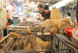 全球首宗！中国一女子染新型禽流感病毒
