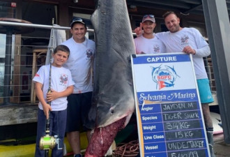 澳洲8岁男童捕获628斤巨鲨 或破世界纪录
