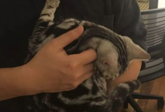 人物：首届新概念一等奖得主刘嘉俊猝死