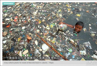 东南亚学中国禁洋垃圾成西方最大威胁