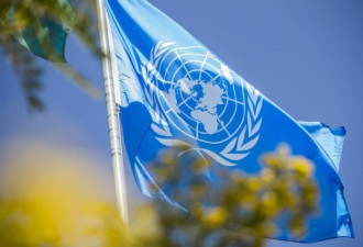 联合国断粮谁之过193个成员国中130国缴清会费