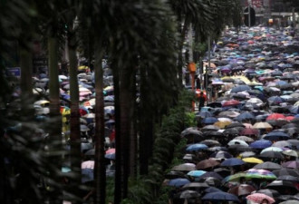 网管推放大陆人在香港遭揍视频 中港对立上升