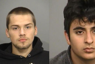 汉密尔顿酒吧伤人案 警方通缉两名20岁疑犯