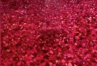 21岁的她狂赚60亿登顶福布斯，现在怒甩娃她爹