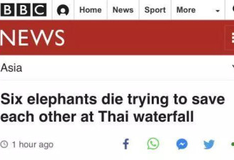 小象跌落瀑布 救它的5头大象从瀑布跌落死亡