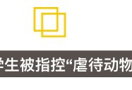 这位精英留学生自毁前程：先入狱再遭遣返 只因