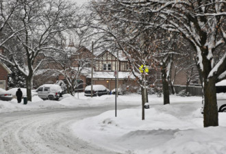 多伦多躲过大雪暴降雪仅5厘米 周末都是晴天