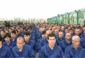 人权组织要求美海关停止进口新疆棉花和纺织品