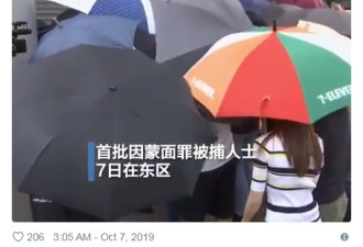 香港首次起诉了这两名违反蒙面禁令的抗议者