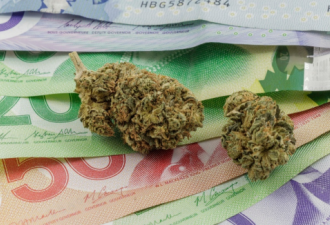 大麻产业助力加拿大GDP