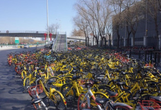 春节假期时的北京:人走了 留下满城共享单车