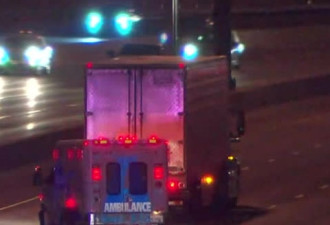 士嘉堡49岁妇女401高速行走时被撞身亡