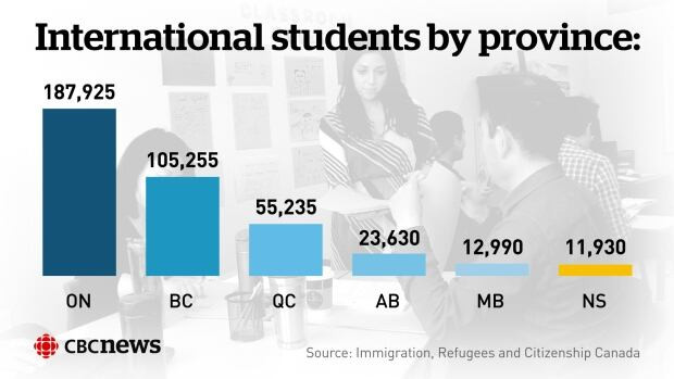 International student numbers