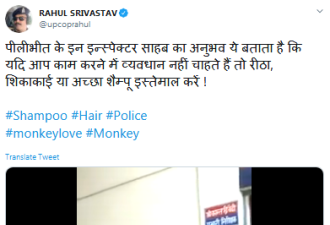 被猴子坐肩头找虱子 印度警察埋头工作超淡定