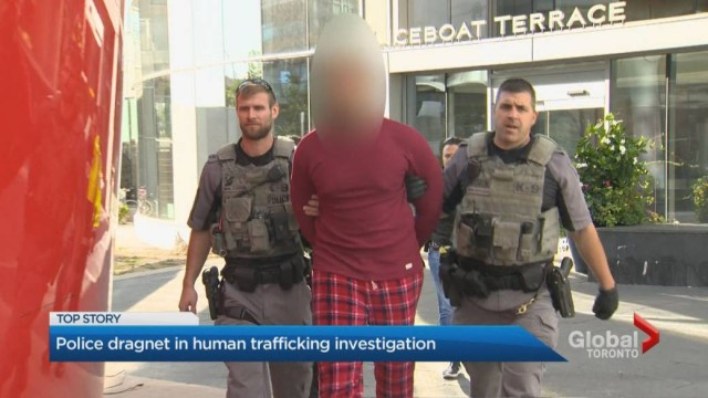 “Police raid at downtown Toronto condo connected to human trafficking investigation: source”的图片搜索结果